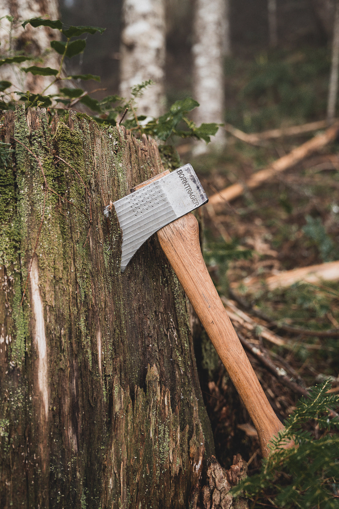 New Releases: Top Logging Equipment and Accessories