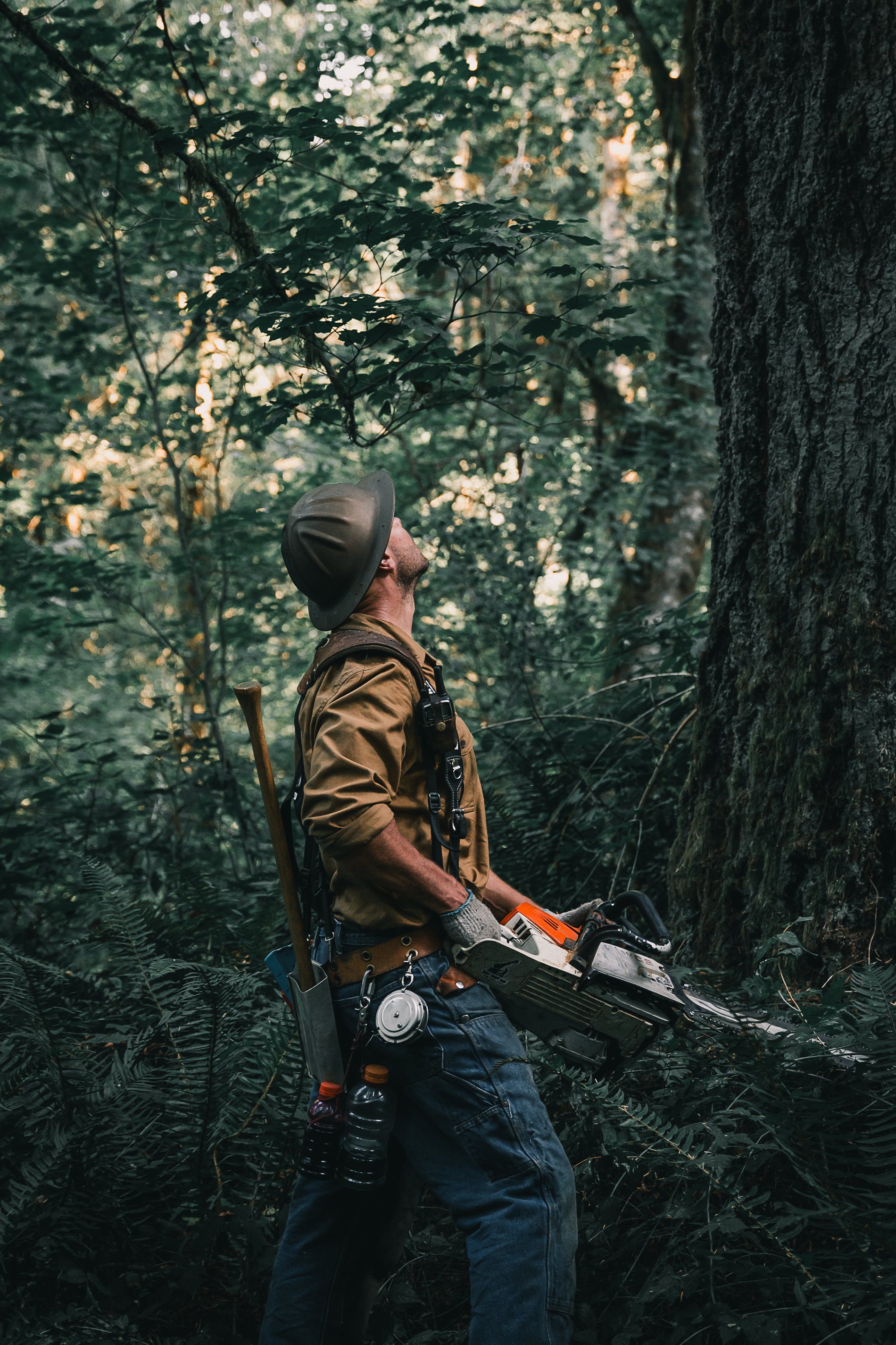 Spencer Logging Tape