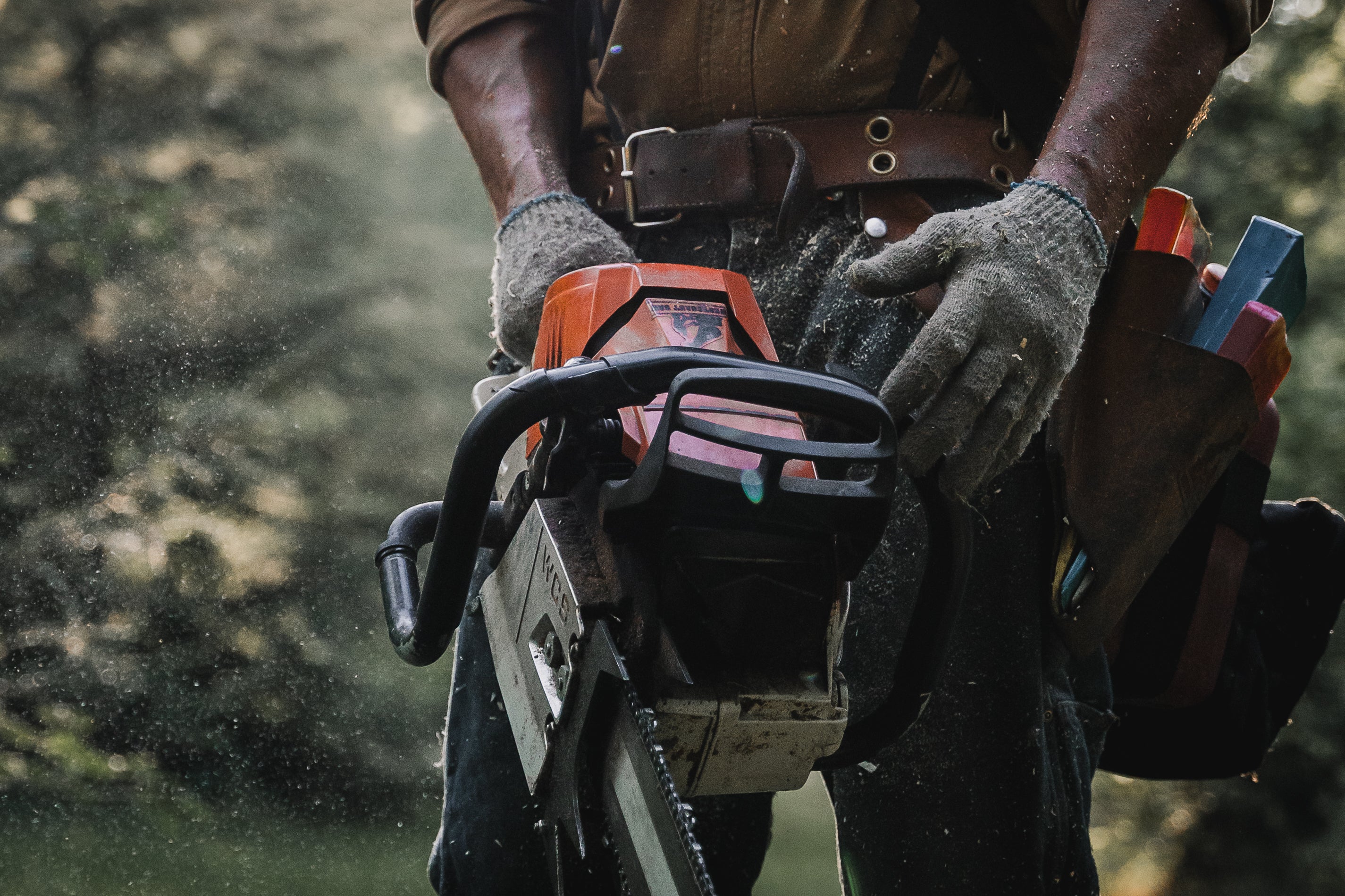 Clutch Cover | For Select Stihl Saws