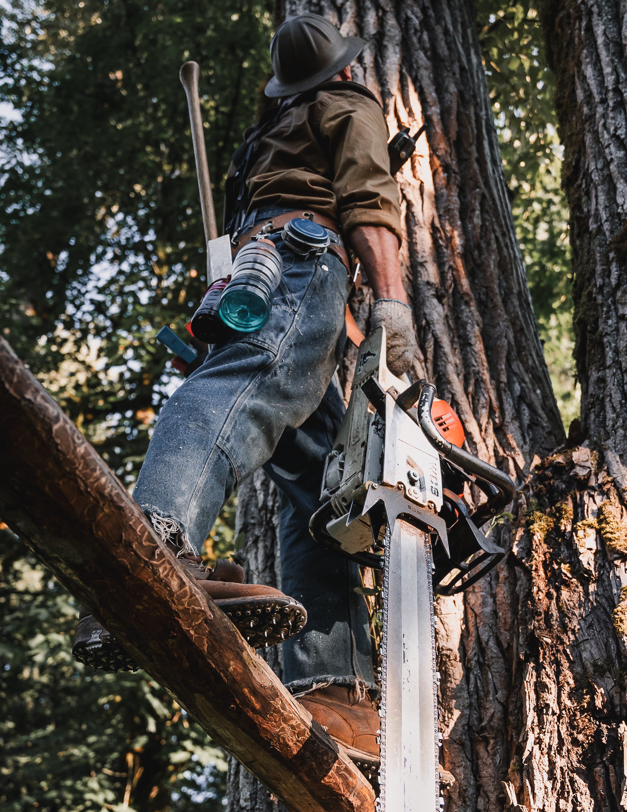 Spencer Logging Tape