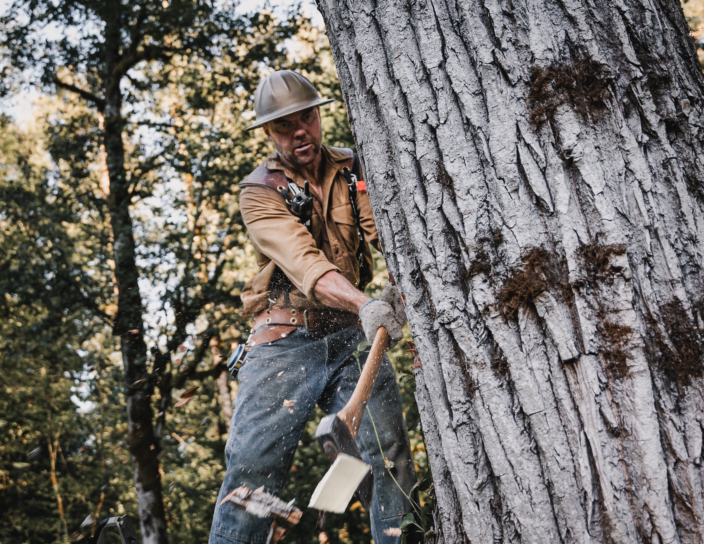 Westcoast Saw Leather Belt