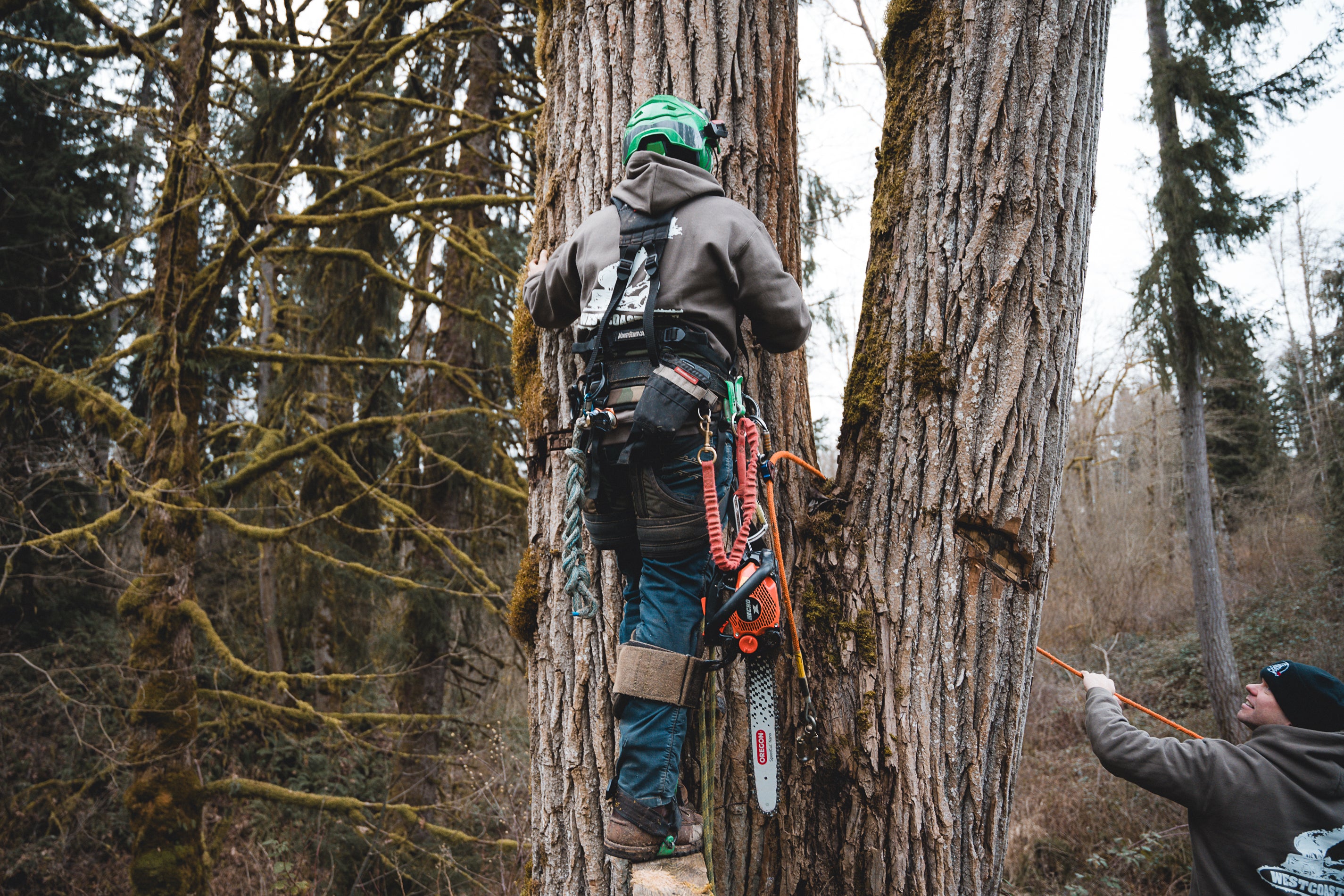 SpeedCut™ Nano Saw Chain
