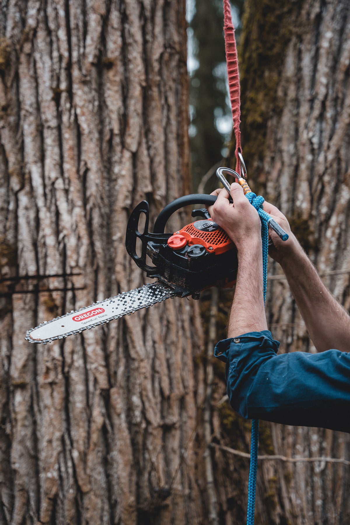 Speedcut SpeedCut Nano™ Conversion Kit | Westcoast Saw